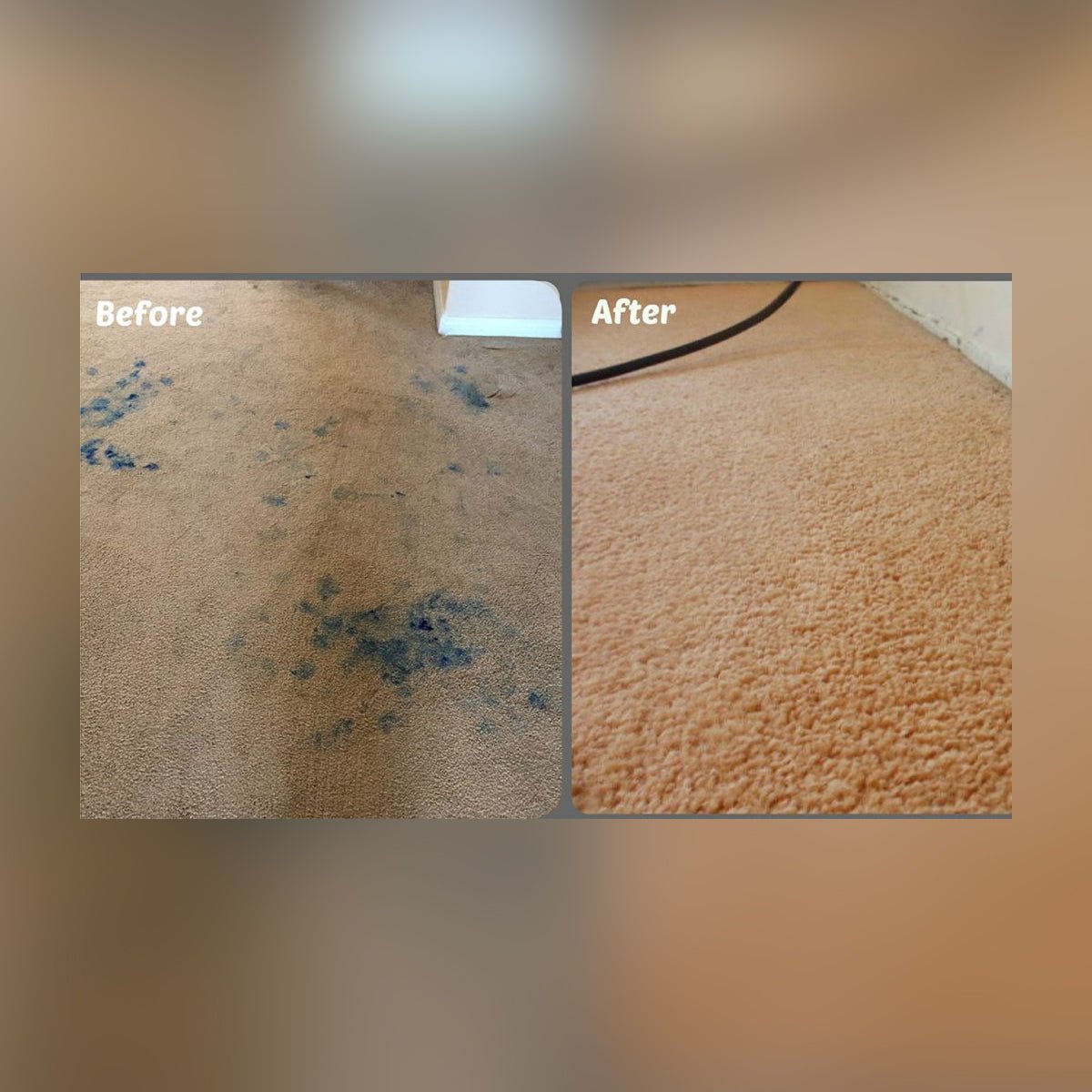 Carpet & upholstery + Protectant(150ml) - Premium1